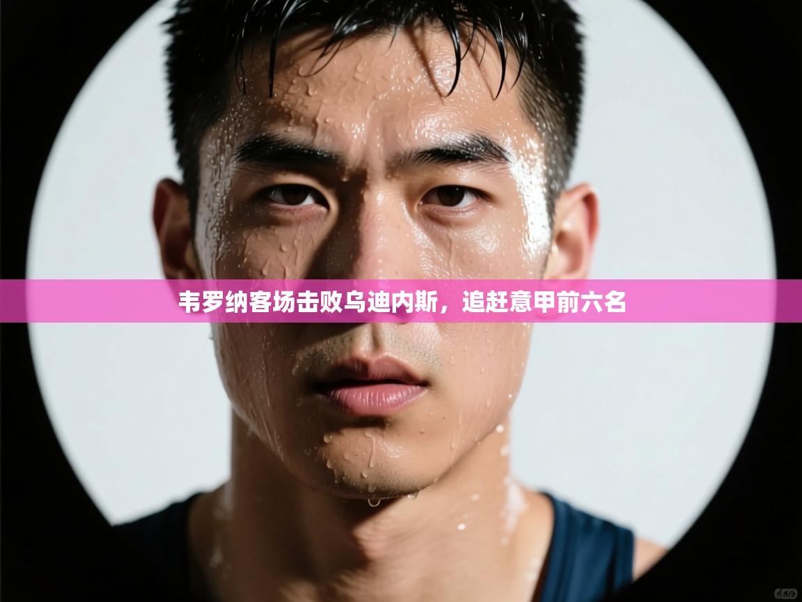 韦罗纳客场击败乌迪内斯，追赶意甲前六名  第1张