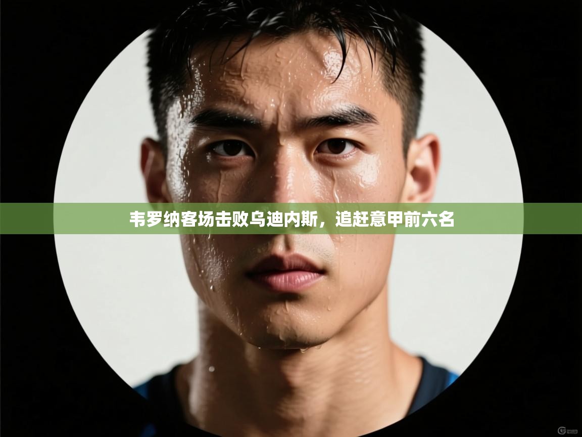 韦罗纳客场击败乌迪内斯，追赶意甲前六名  第2张