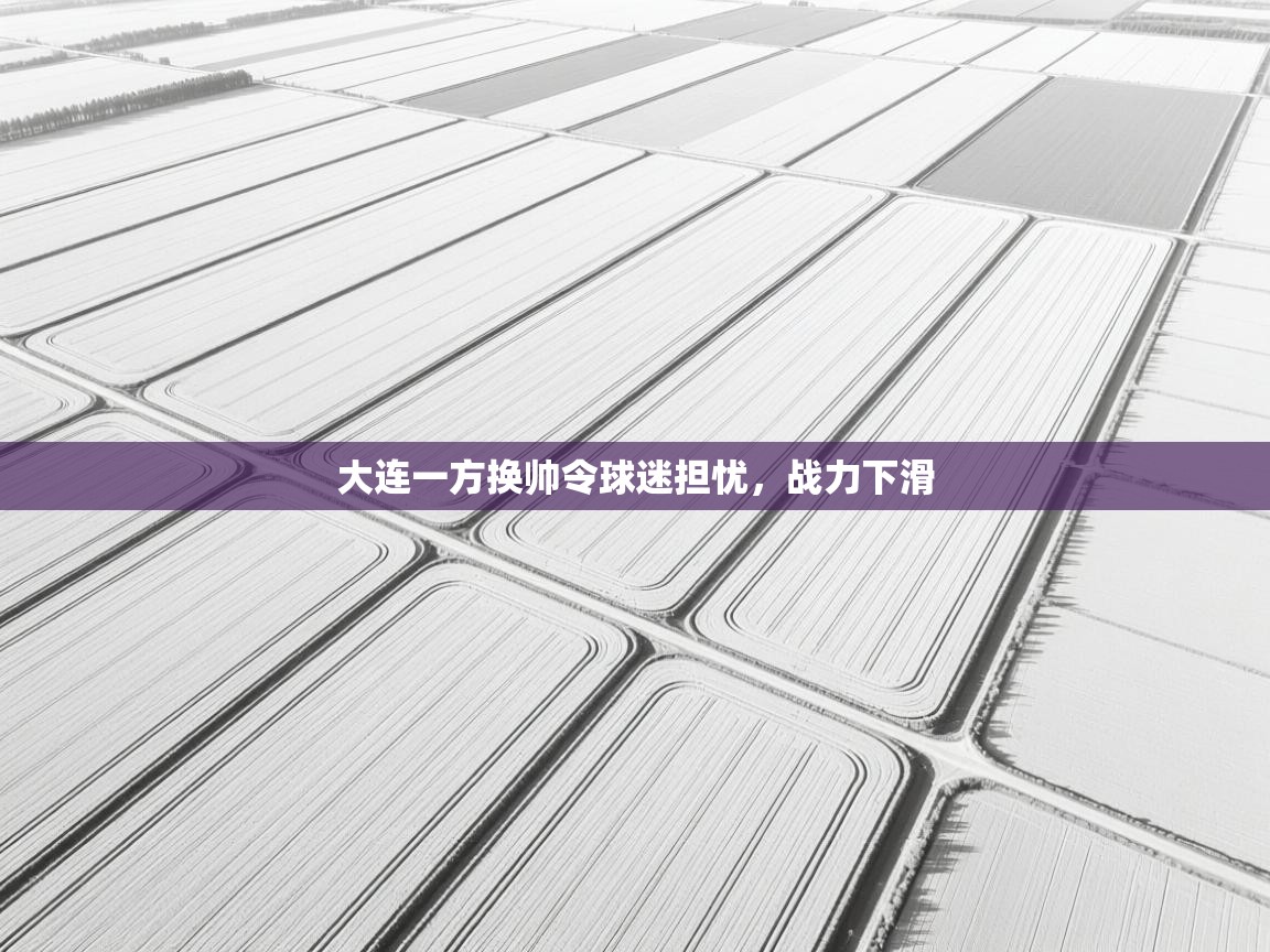 大连一方换帅令球迷担忧,战力下滑 第1张