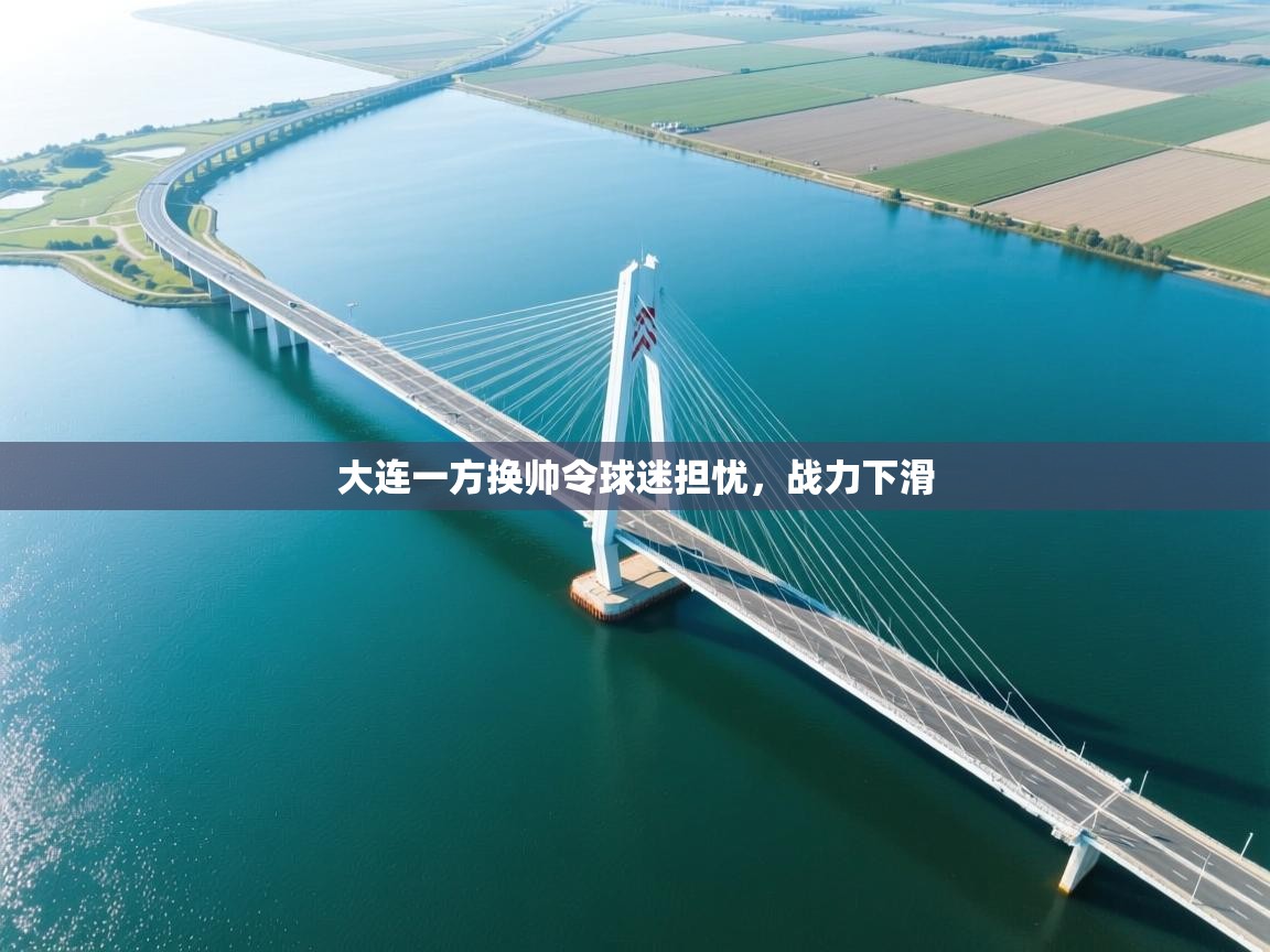 大连一方换帅令球迷担忧,战力下滑 第2张