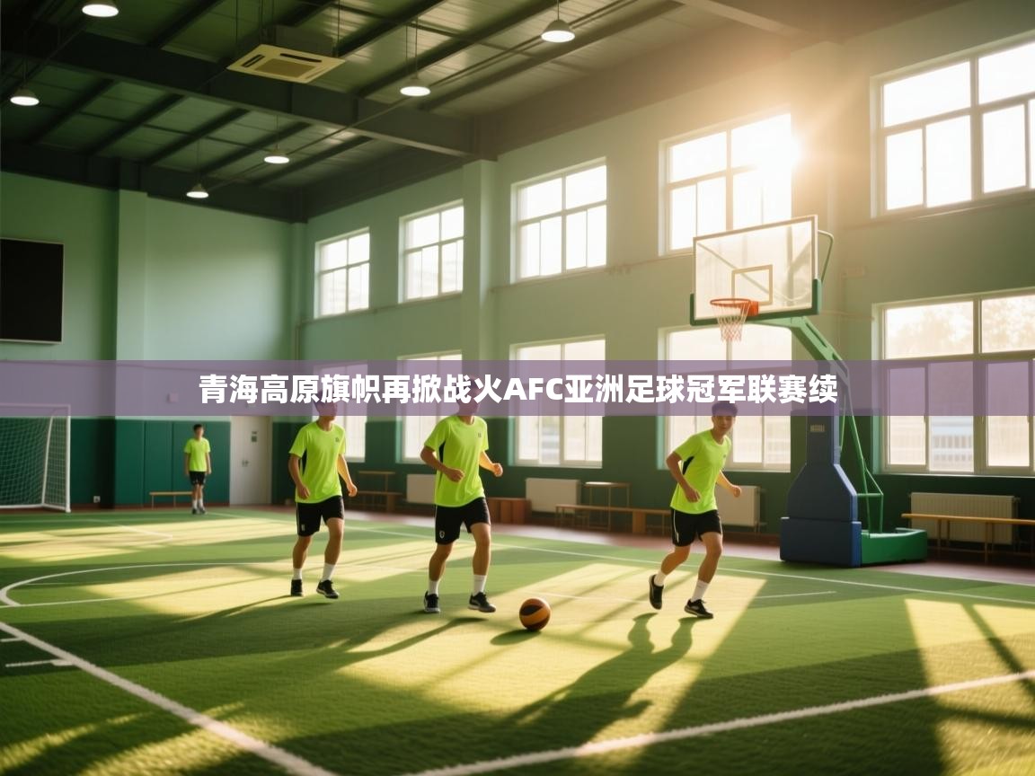 青海高原旗帜再掀战火AFC亚洲足球冠军联赛续  第1张