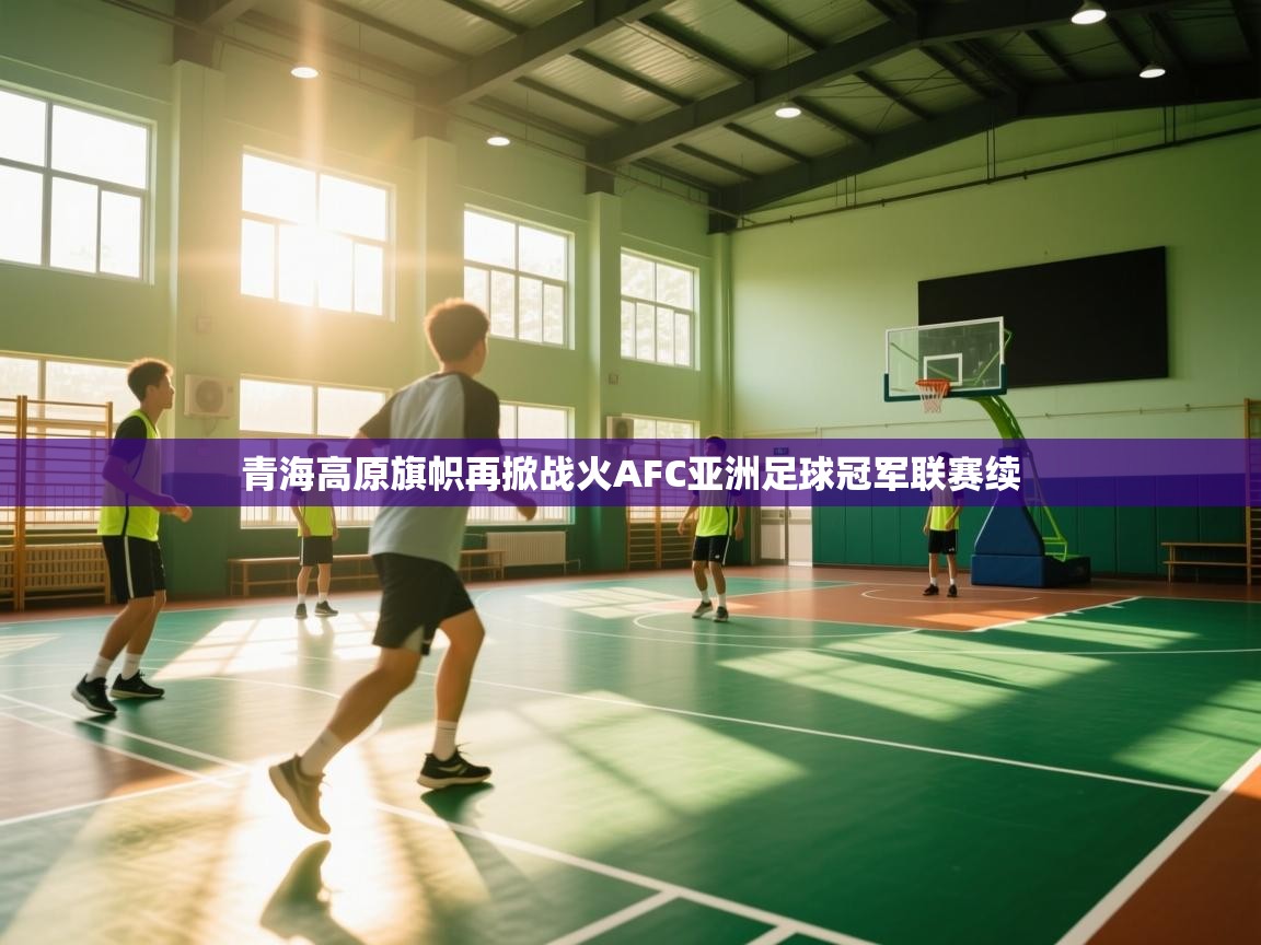 青海高原旗帜再掀战火AFC亚洲足球冠军联赛续  第2张