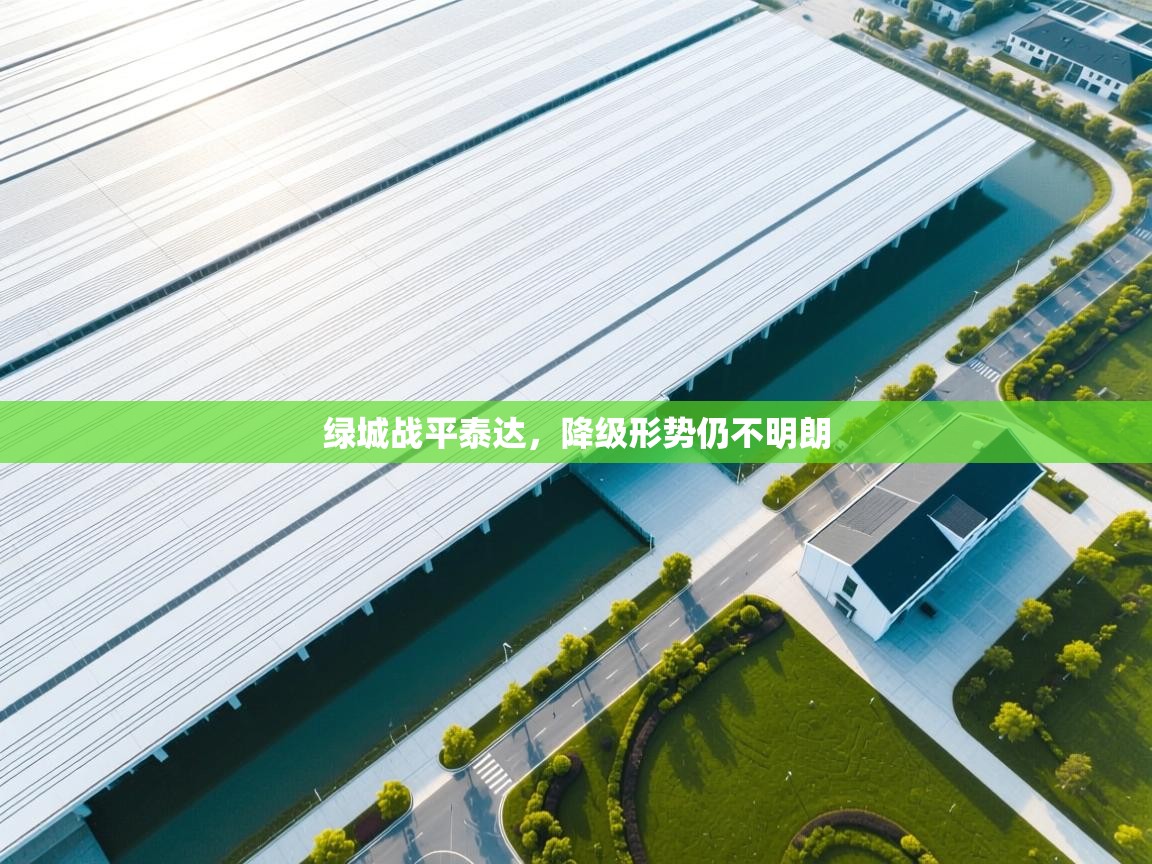 绿城战平泰达,降级形势仍不明朗 第1张